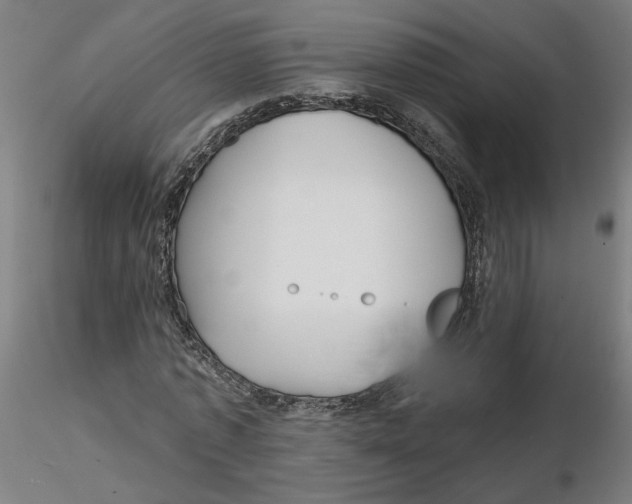 X0000116130773200912211714