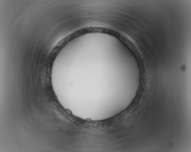 X0000116130775200912211714