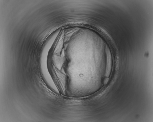 X0000116130777200912211714