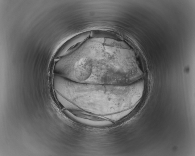 X0000116130779200912211714