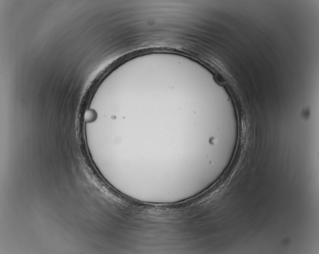 X0000116130780200912211714