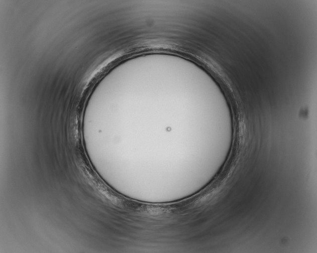 X0000116130782200912211714