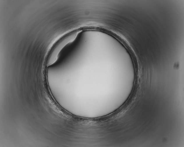 X0000116130783200912211714