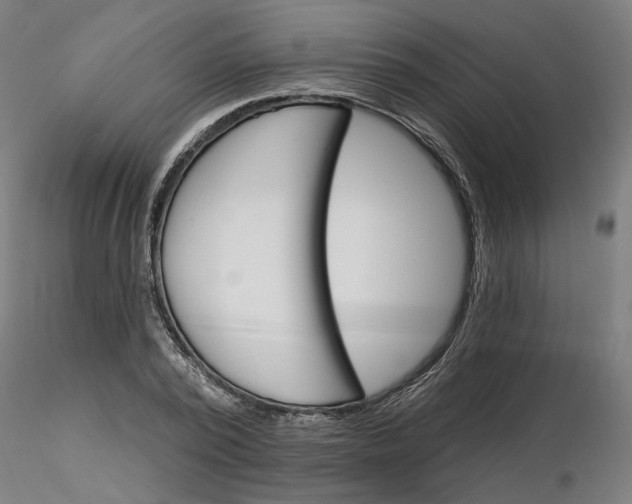 X0000116130784200912211714