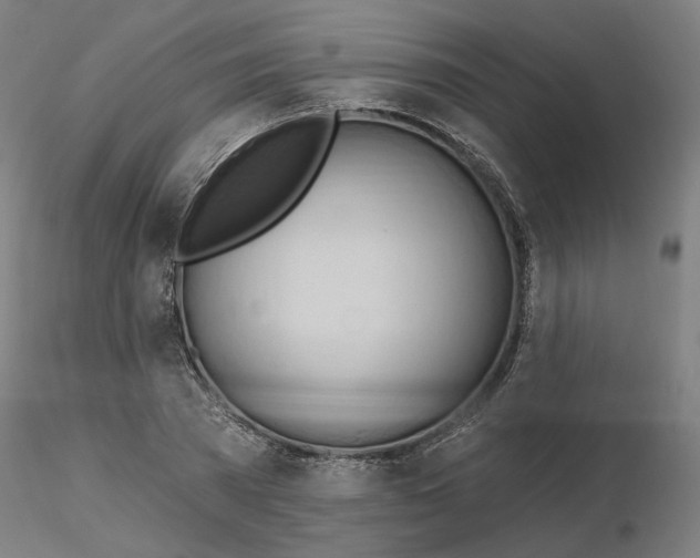 X0000116130785200912211714