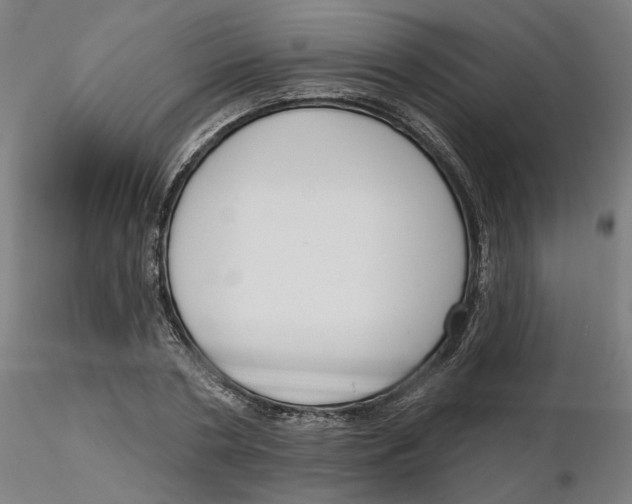 X0000116130786200912211714