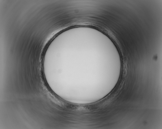 X0000116130787200912211714