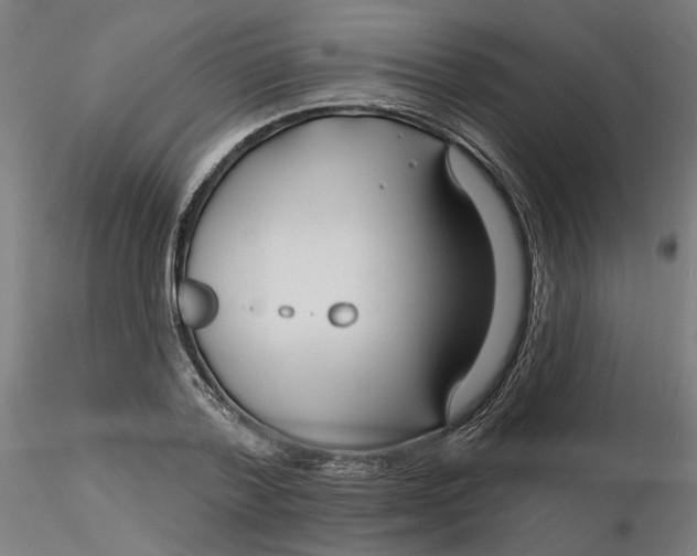 X0000116130788200912211714