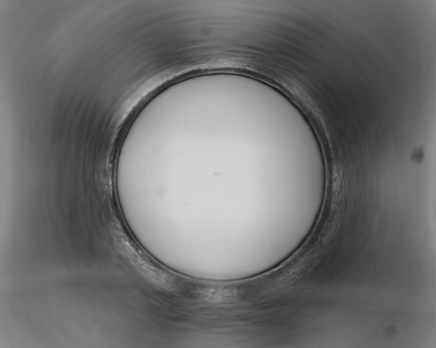 X0000116130789200912211714
