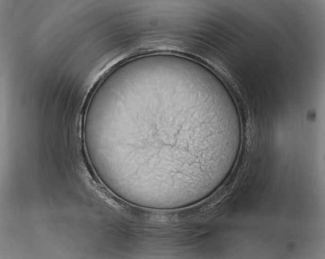 X0000116130790200912211714