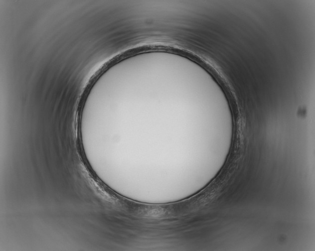 X0000116130791200912211714