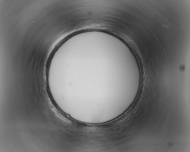 X0000116130792200912211714