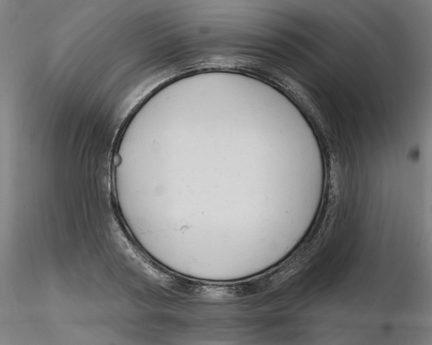 X0000116130794200912211714