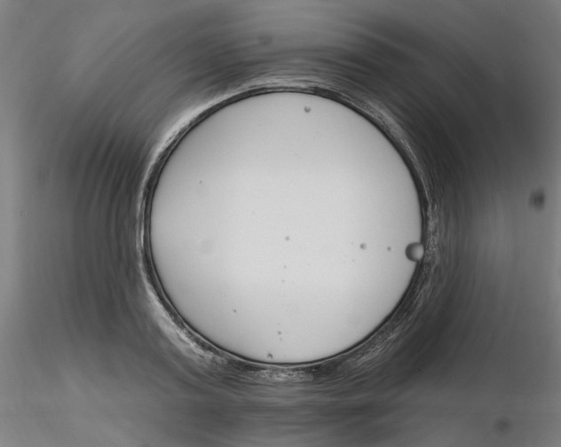X0000116130795200912211714