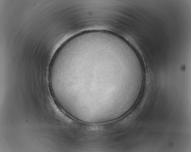 X0000116130797200912211714