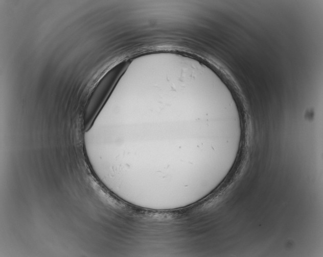 X0000116130801200912211714