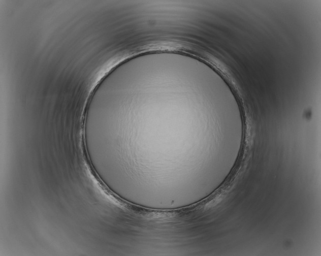 X0000116130802200912211714