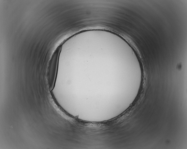 X0000116130805200912211714