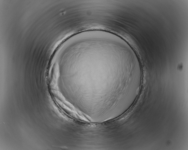 X0000116130806200912211714