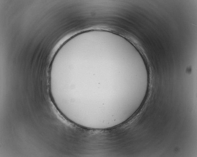 X0000116130808200912211714