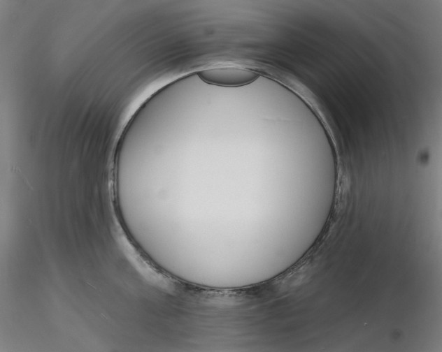 X0000116130811200912211714