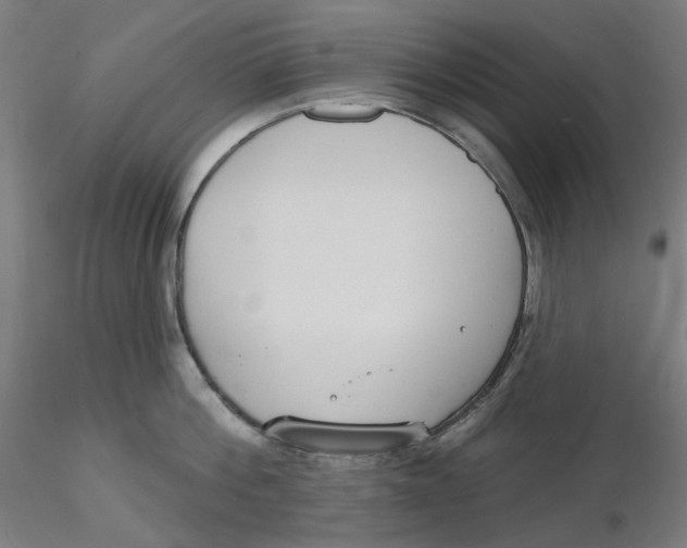 X0000116130812200912211714