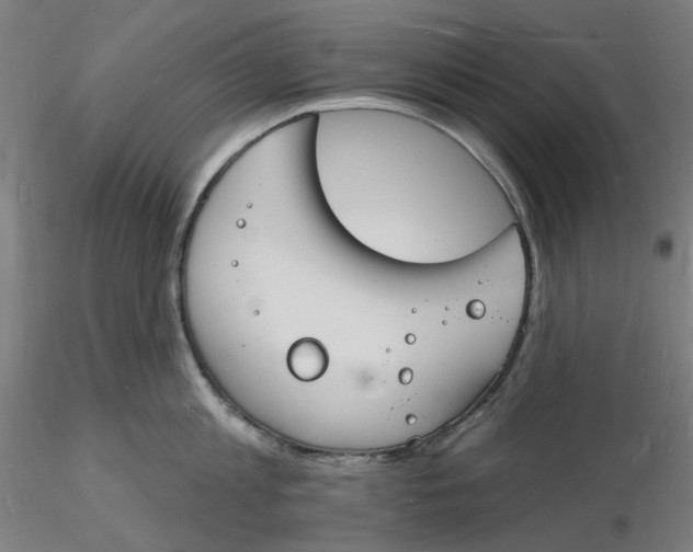 X0000116130813200912211714