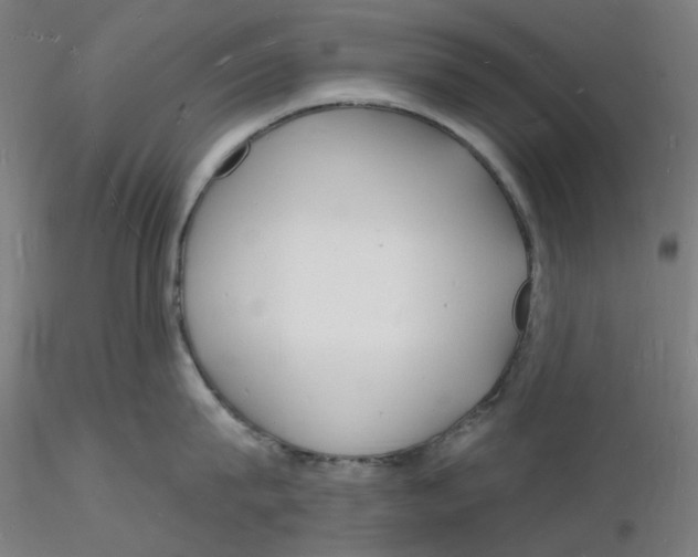 X0000116130815200912211714
