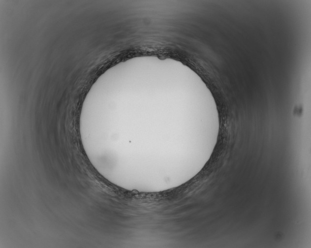 X0000116130817200912211713