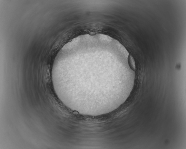 X0000116130818200912211713