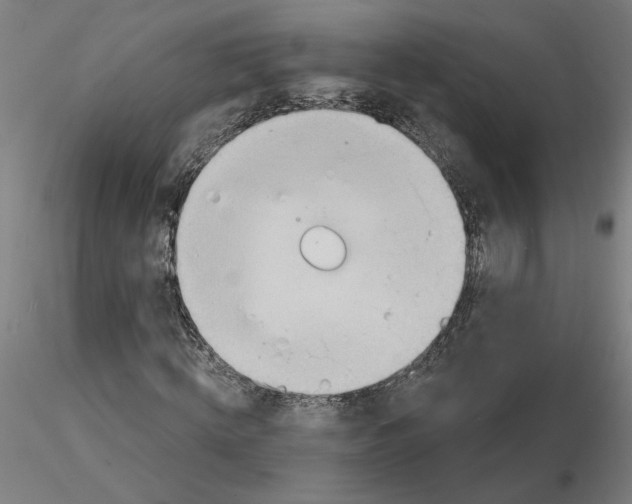 X0000116130820200912211713
