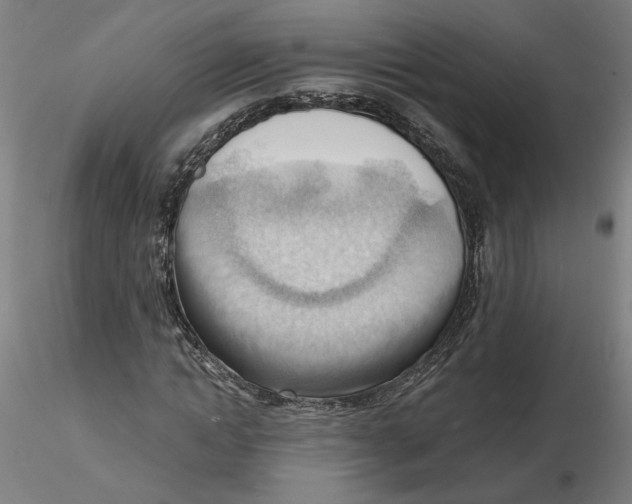 X0000116130822200912211713