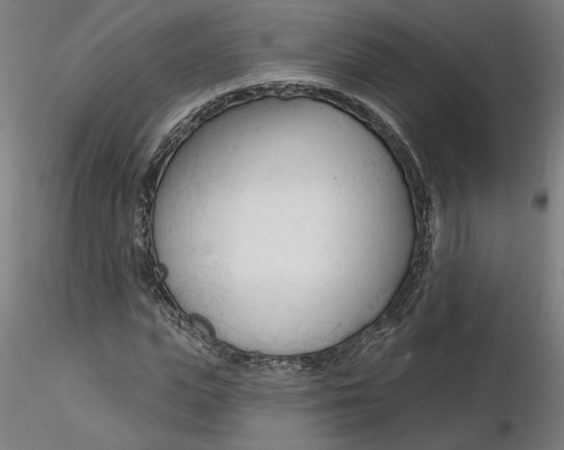 X0000116130823200912211713