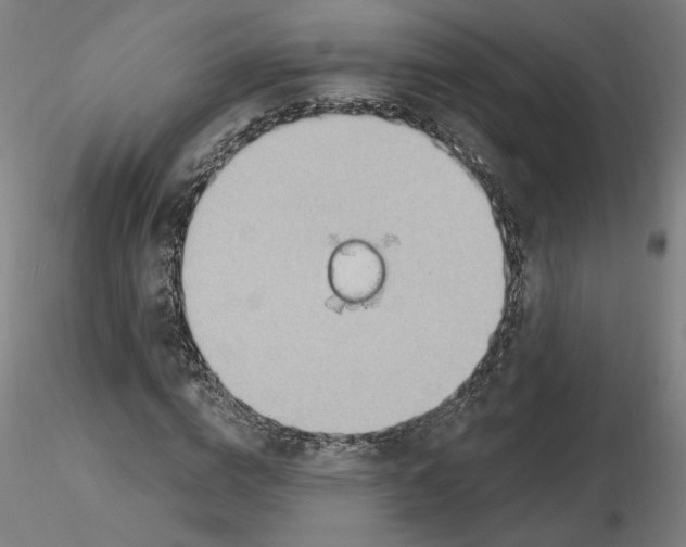 X0000116130824200912211713