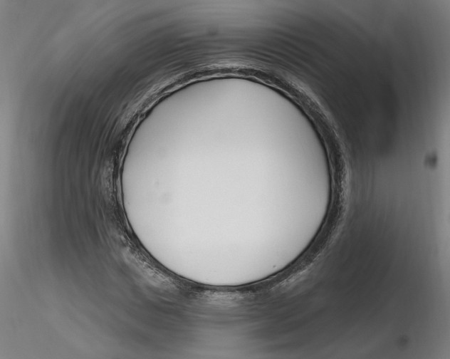 X0000116130825200912211713