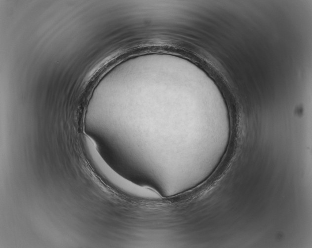 X0000116130826200912211713