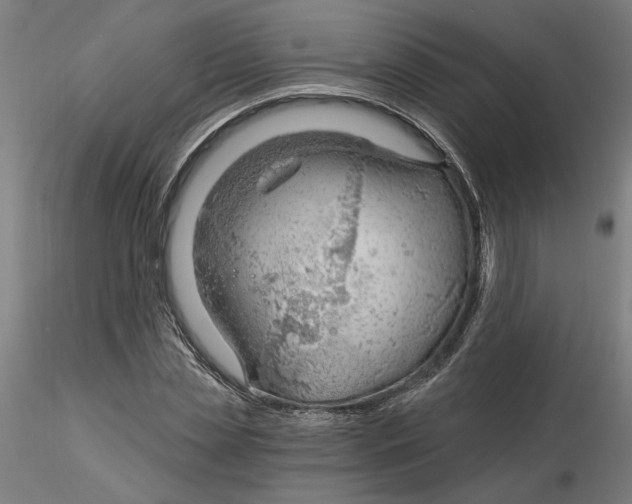 X0000116130829200912211713