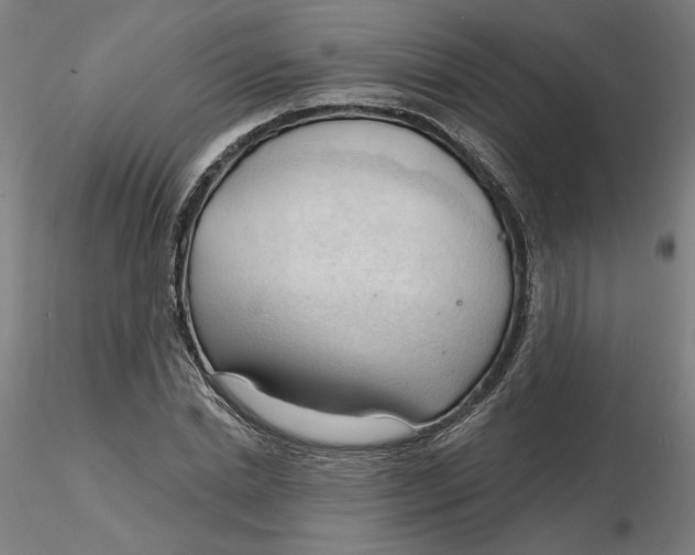 X0000116130830200912211713