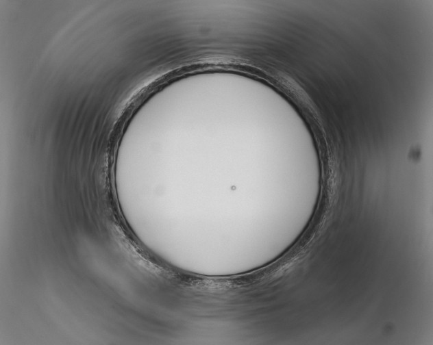 X0000116130831200912211713