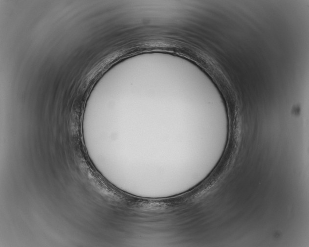 X0000116130833200912211713
