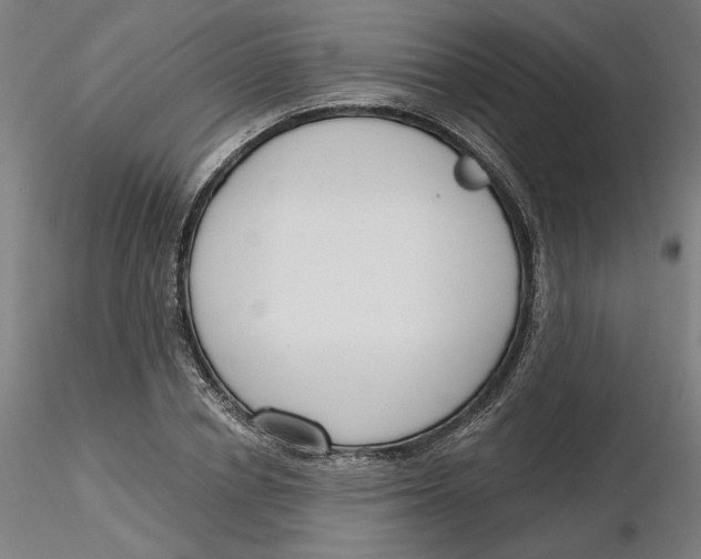 X0000116130834200912211713