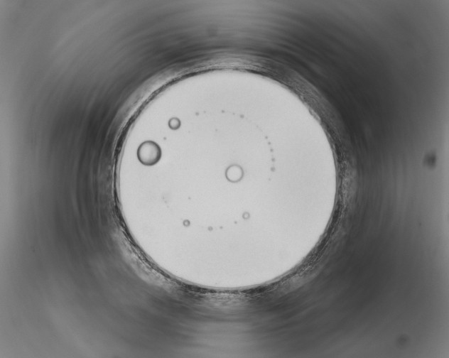 X0000116130836200912211713