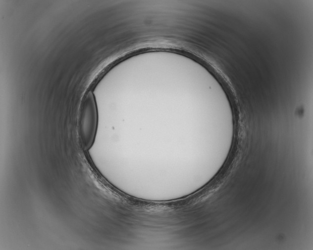 X0000116130837200912211713