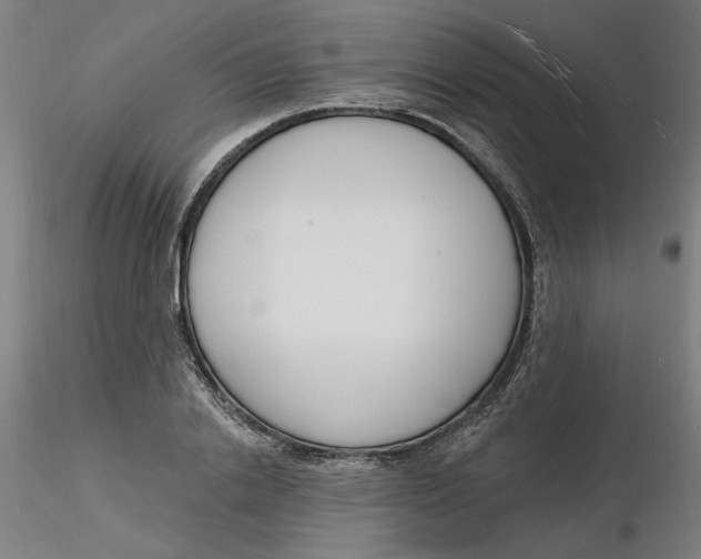 X0000116130838200912211713