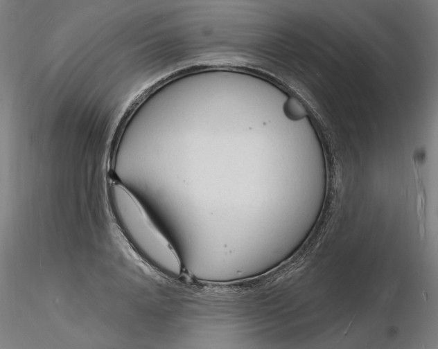 X0000116130840200912211713