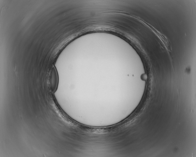 X0000116130841200912211713