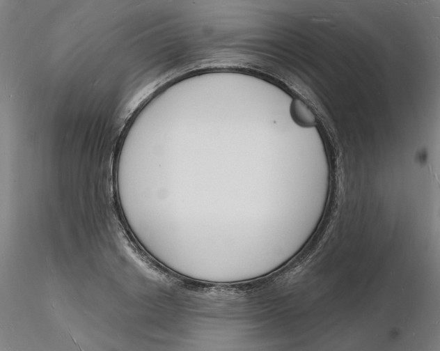 X0000116130842200912211713