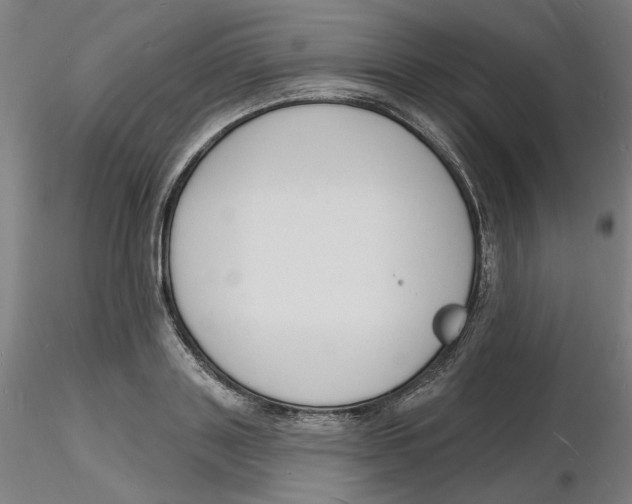 X0000116130843200912211713