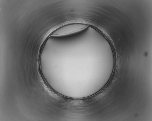 X0000116130845200912211713