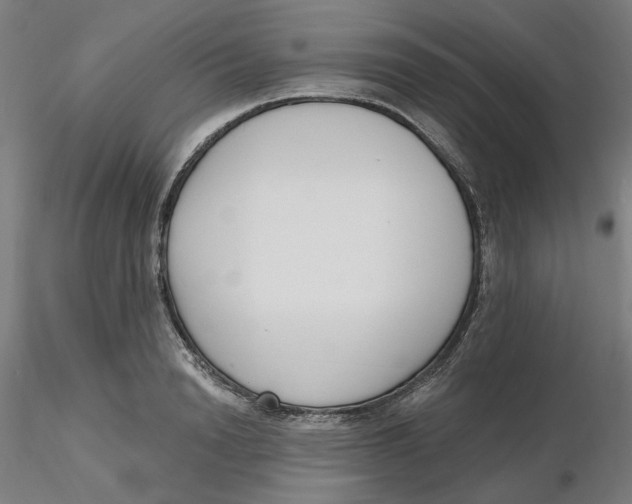 X0000116130846200912211713